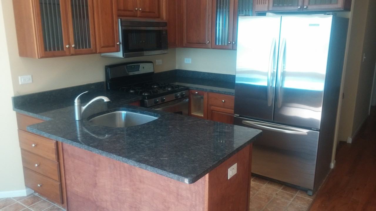 2724 W. Lunt #1N duplex - Photo 4 of 5