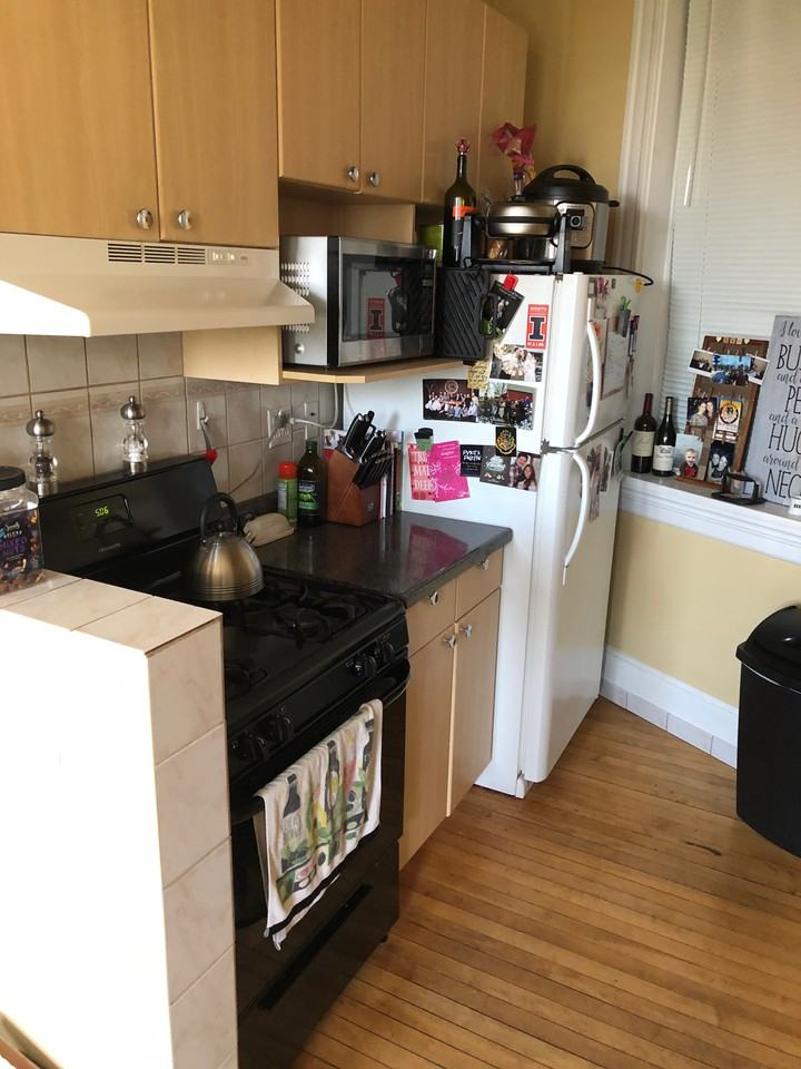 1547 West Blackhawk Street #3C - Photo 5 of 11