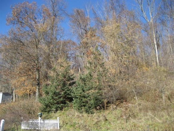 28 Penny Ln - Photo 3 of 10