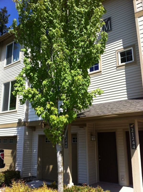 21240 SE 42nd Ln - Photo 3 of 9