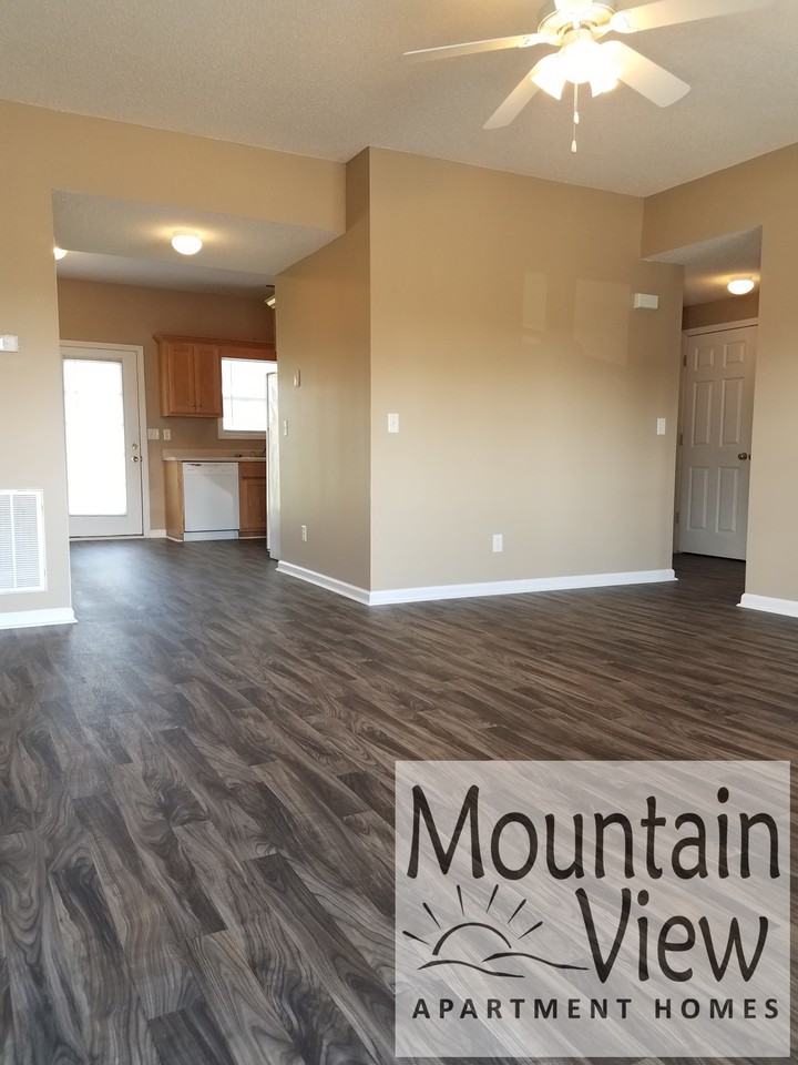 Mountain View Apartments - Photo 5 of 24