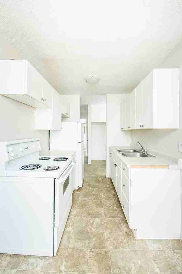 Wild Rose Court - Photo 3 of 11