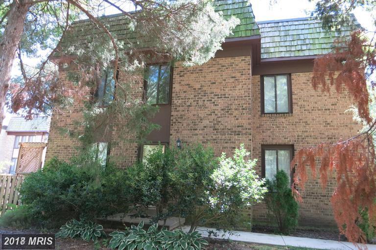 10301 Cherry View Ct - Photo 2 of 23