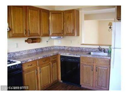 4719 Barbed Ct - Photo 2 of 12