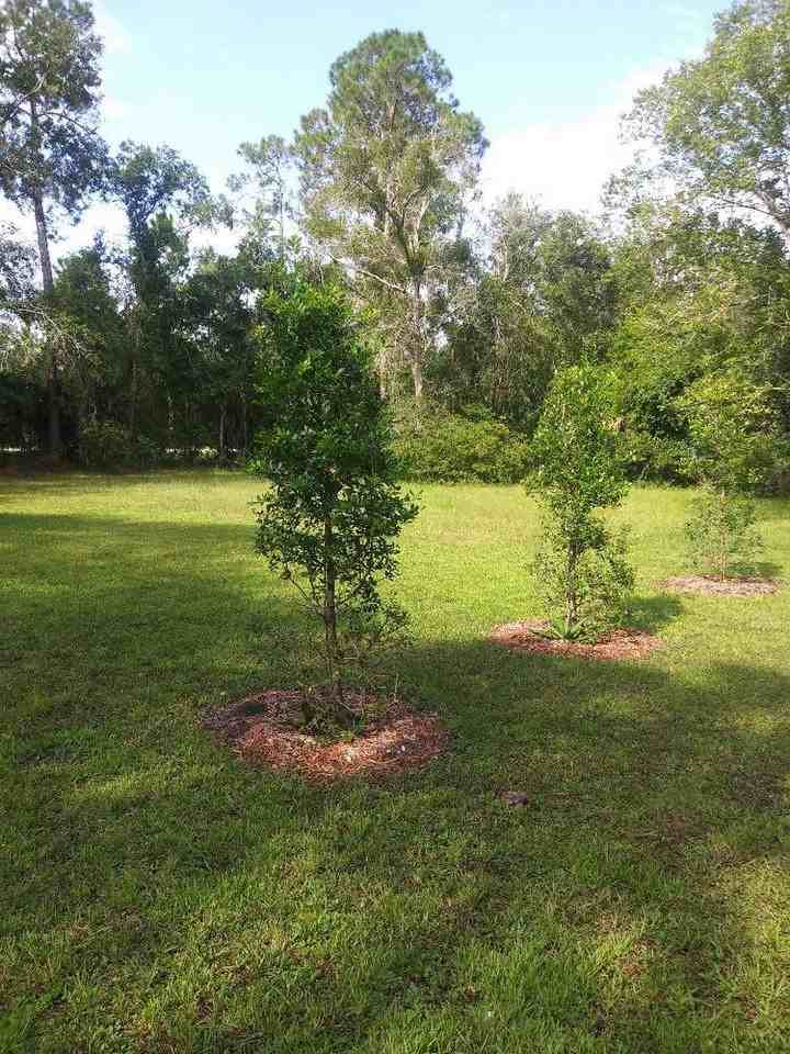 2042 Halifax Dr - Photo 3 of 6