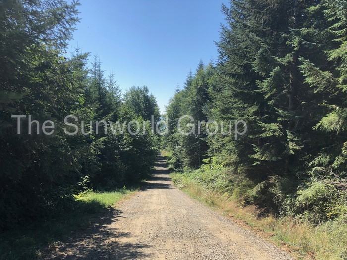 2719 Mt Pleasant Rd - Photo 2 of 27