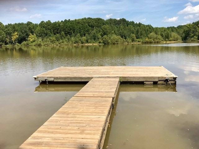 1029 Buffalo Creek Rd - Photo 2 of 25