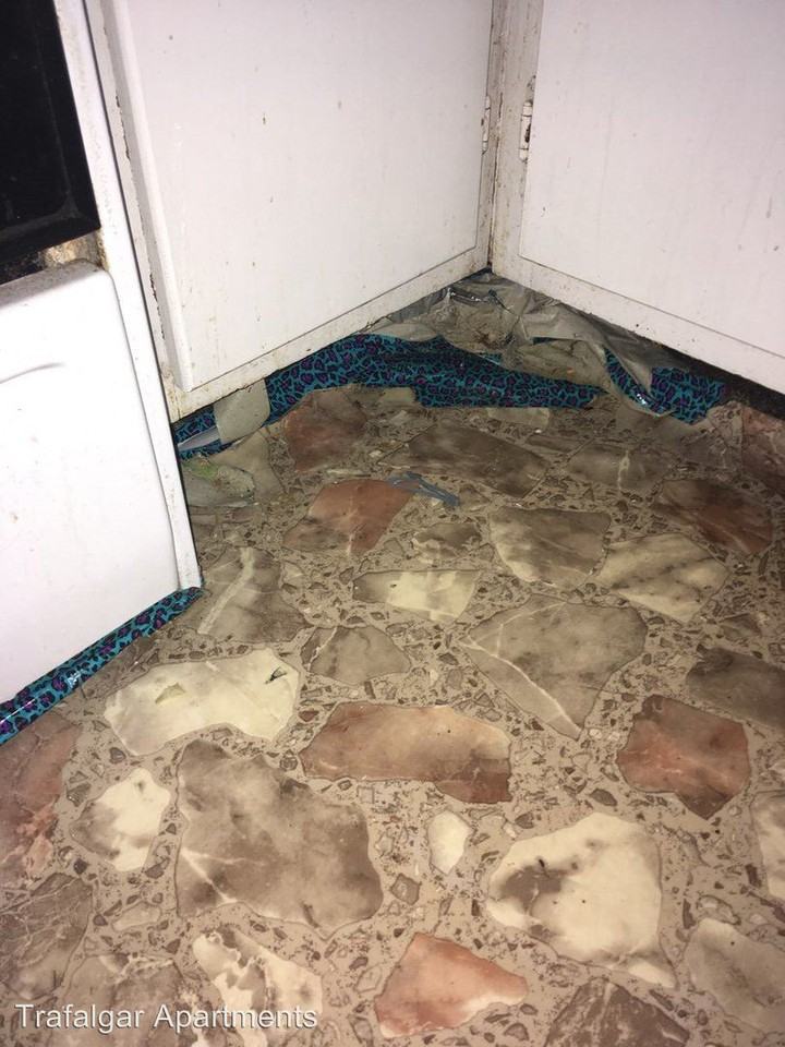 4041/43/45/47/49 Heyman Lane - Photo 2 of 6