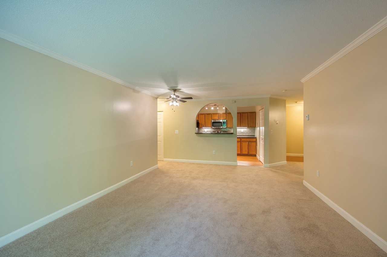 Katahdin Woods - Photo 3 of 16