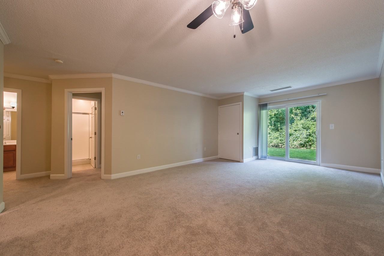 Katahdin Woods - Photo 4 of 16