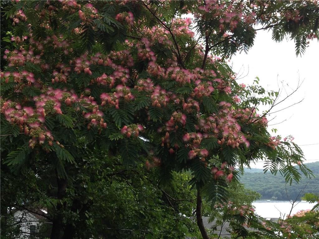 158 Jersey Ave - Photo 3 of 15