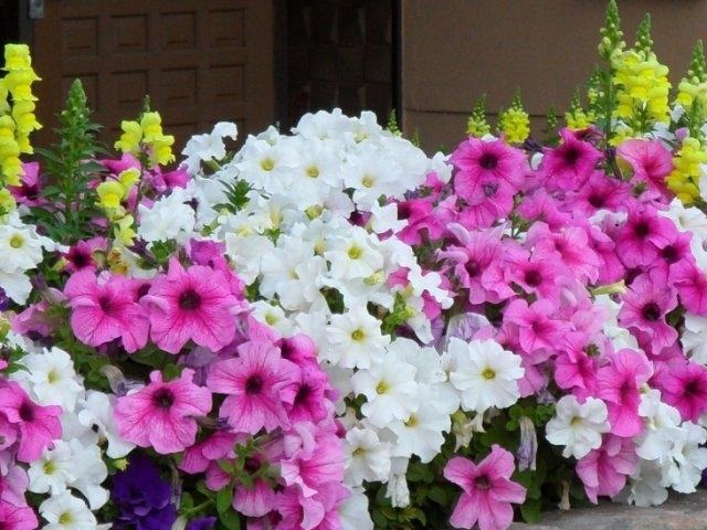 625 N Van Buren Ave - Photo 2 of 6