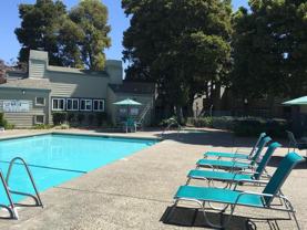 100 Larissa Ln - Photo 1 of 1