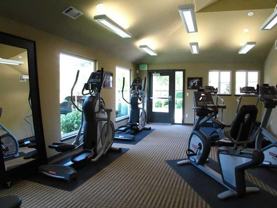 125 Cedar Pointe Loop - Photo 1 of 1