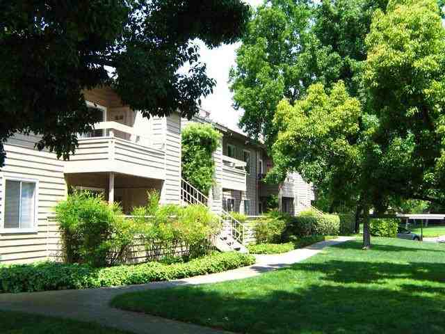 125 Cedar Pointe Loop - Photo 3 of 19