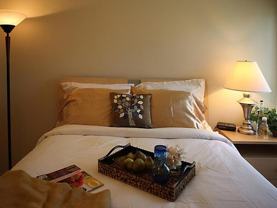 34824 Birchgrove Dr - Photo 1 of 1