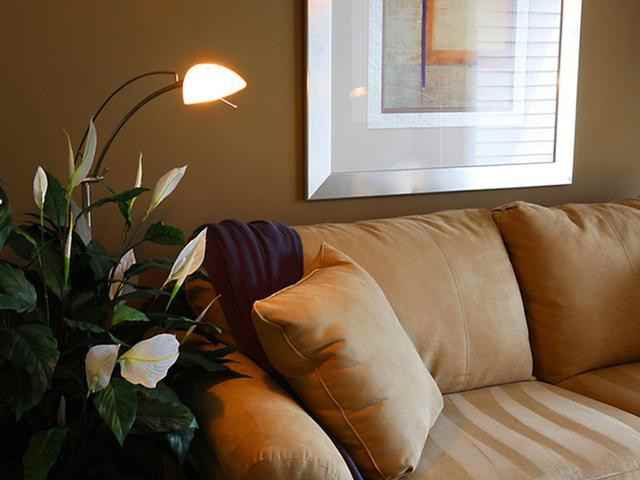 34824 Birchgrove Dr - Photo 4 of 21