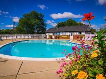 34824 34824 Birch Grove Road - Photo 1 of 1