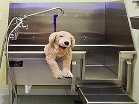 4982 S Ulster St - Photo 1 of 1