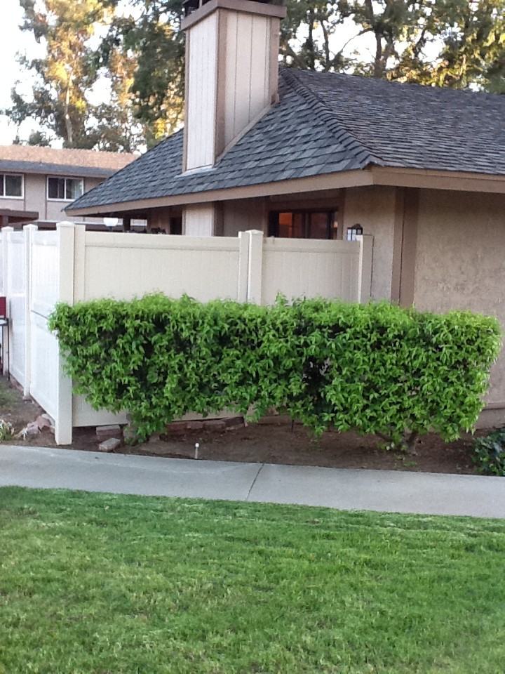 28606 Conejo View Drive - Photo 2 of 2