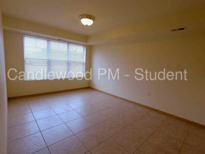 1717 Maria Drive - Photo 2 of 14