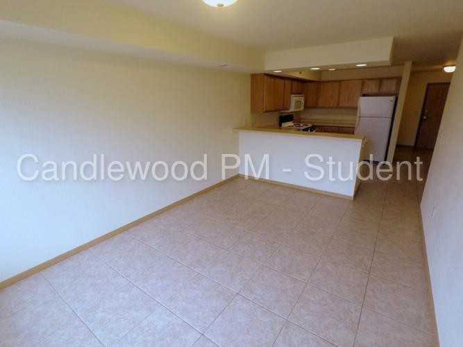1717 Maria Drive - Photo 3 of 14