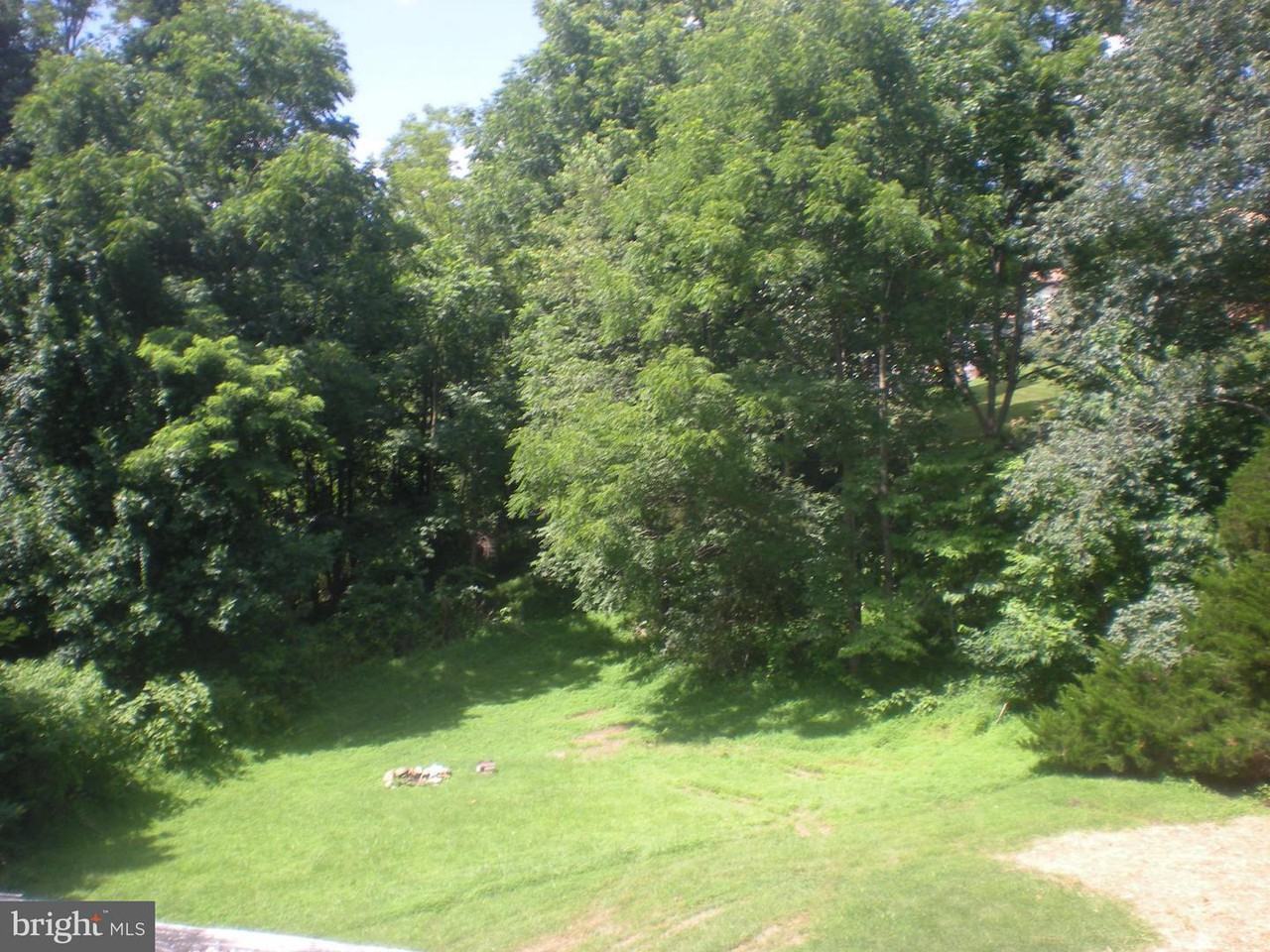 7135 Tulip Ct - Photo 3 of 15