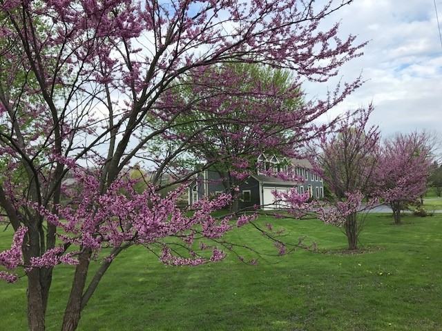 23737 N Elm Rd - Photo 2 of 21