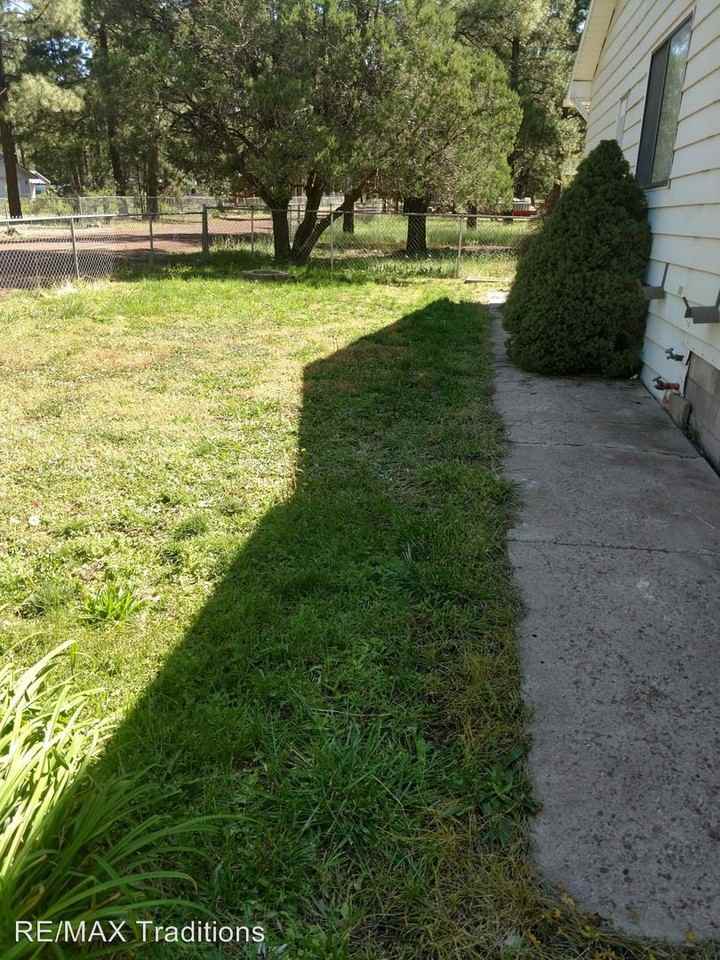 1305 Nina St - Photo 3 of 12