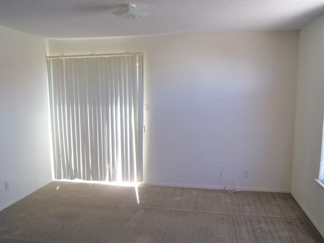 11828 Snow Hawk Dr - Photo 3 of 10