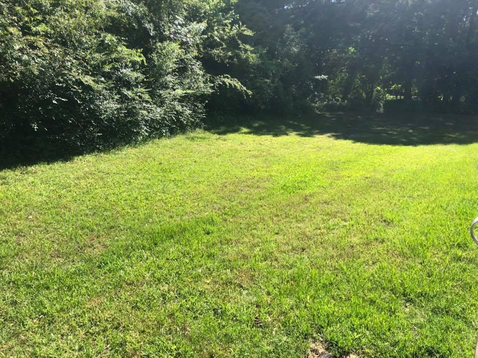 110 Berry Ln - Photo 3 of 11