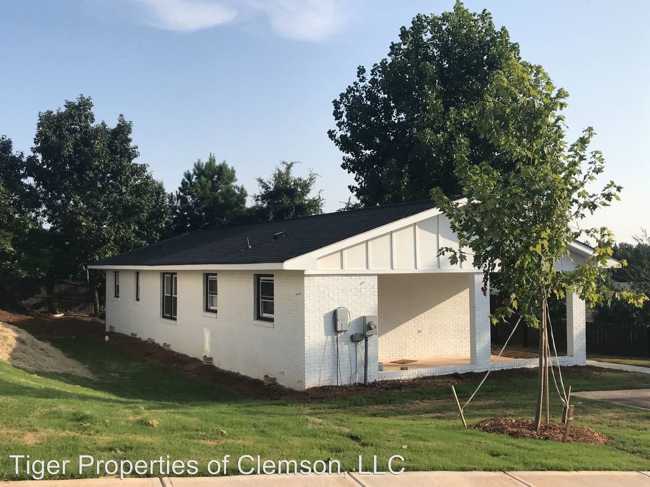 100 Gold Loop - Photo 2 of 4