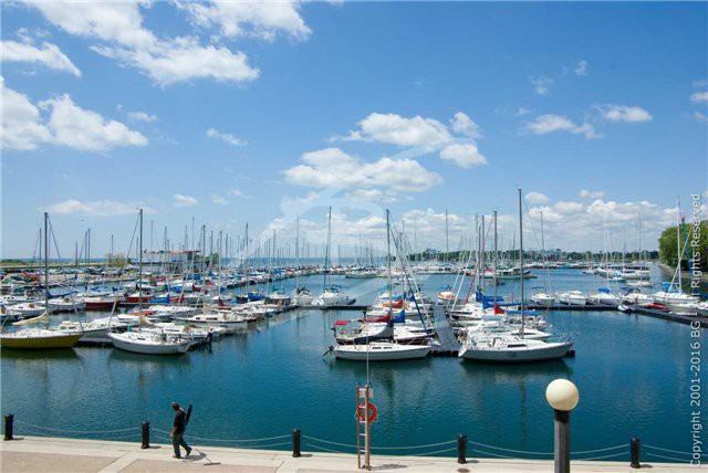 38 Stadium Road #678