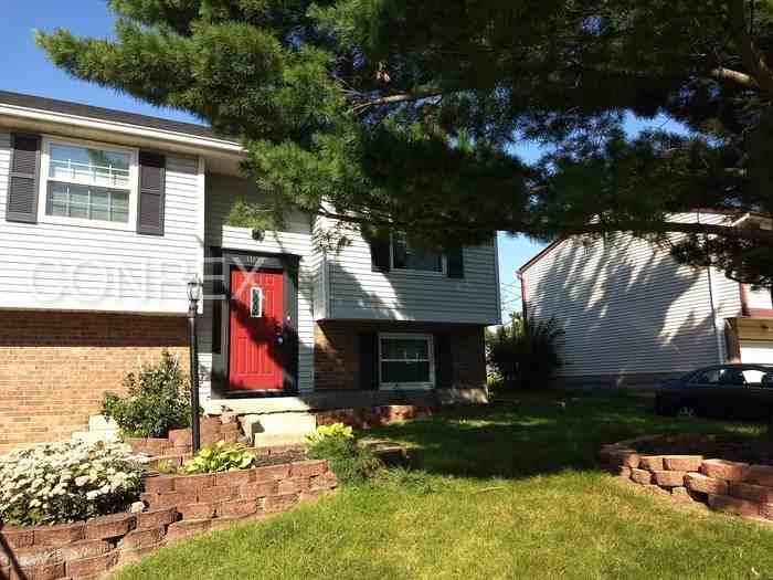 10216 Snowflake Ln - Photo 2 of 20