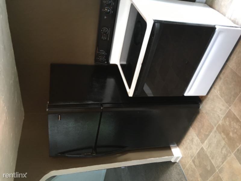 445 S Dexter St - Photo 3 of 17