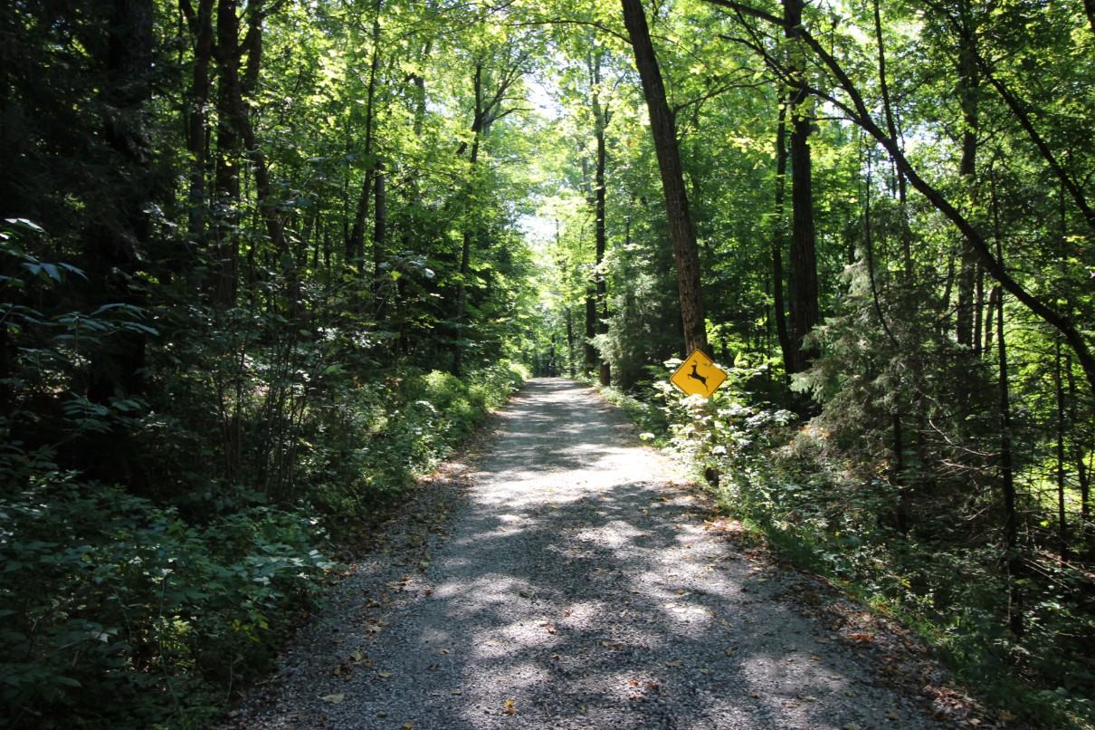 W5335 County Rd CW - Photo 2 of 14