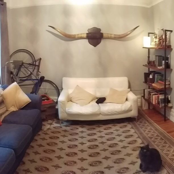 383 South 3rd Street #4F