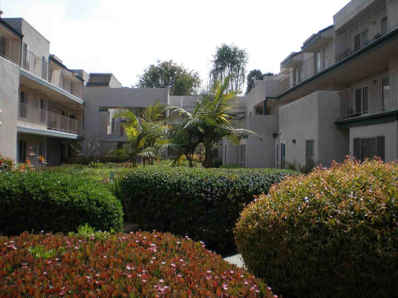 13754 Del Mar Heights Road #313 - Photo 7 of 7