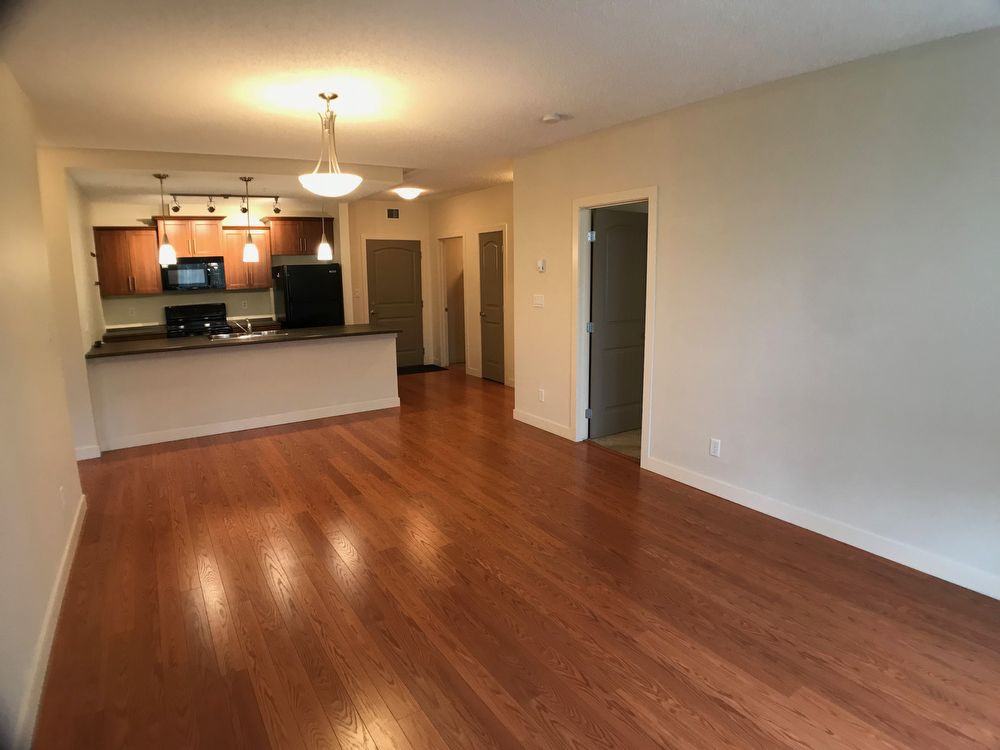 204 The Vistas - Photo 3 of 13