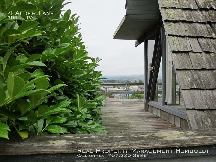 4 Alder Ln - Photo 3 of 12