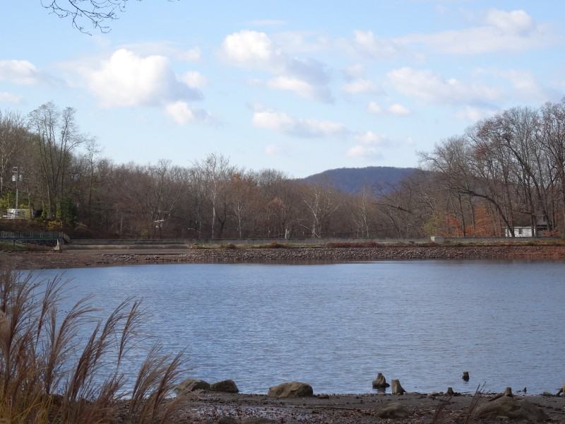 47 Cupsaw Dr - Photo 2 of 24