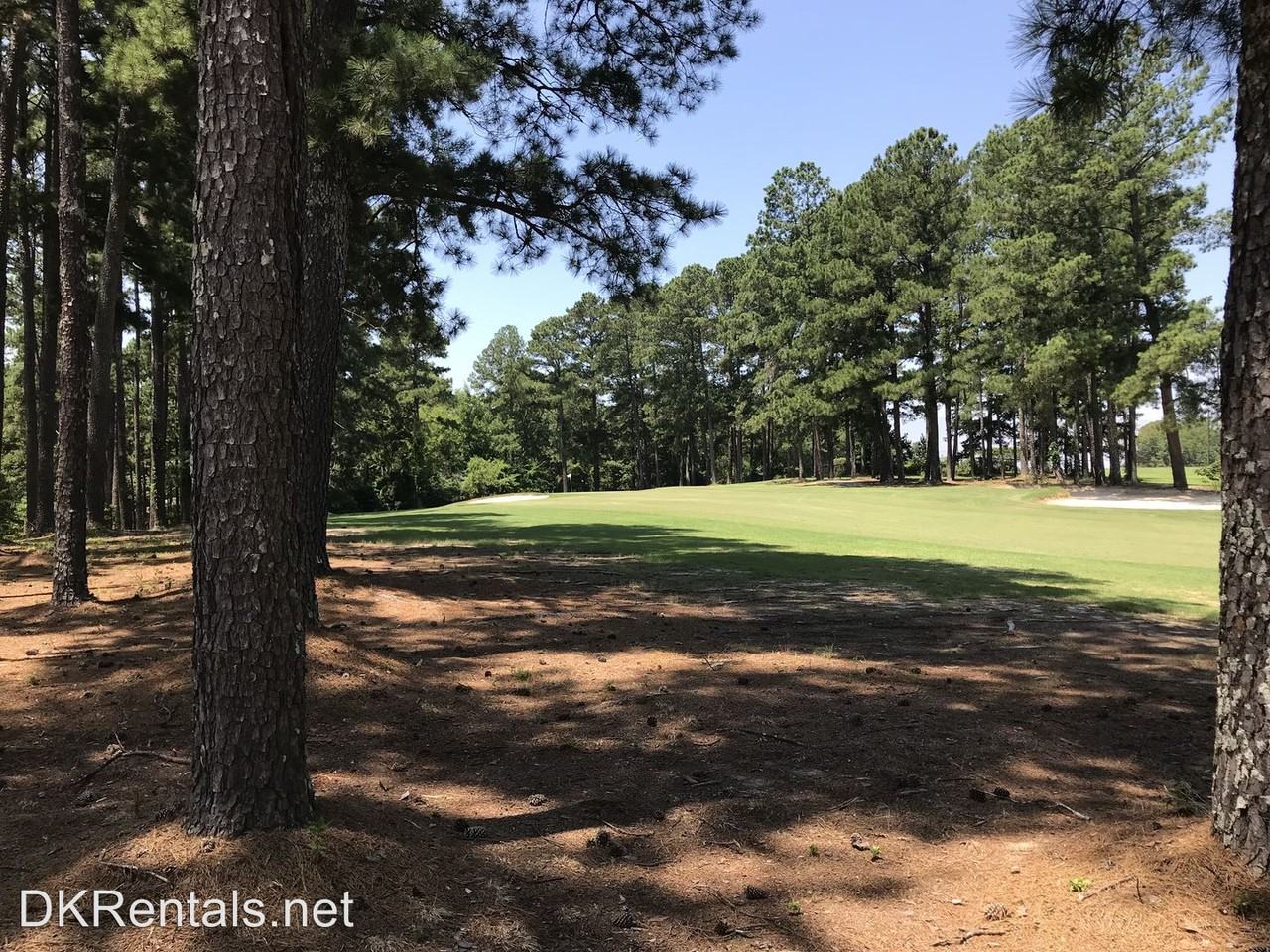 107 P A Johns Rd. - Photo 2 of 5