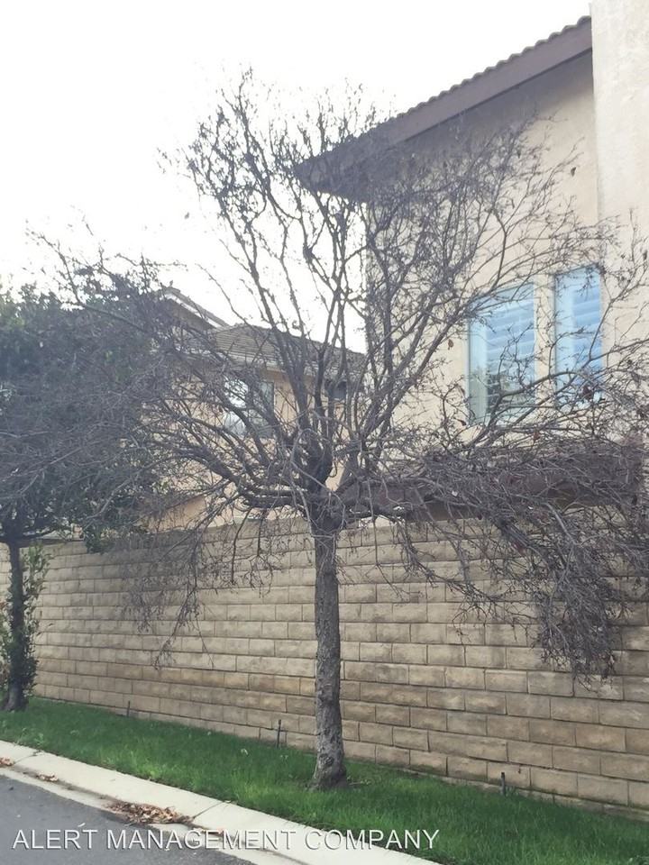 940 Via Brisas - Photo 2 of 2