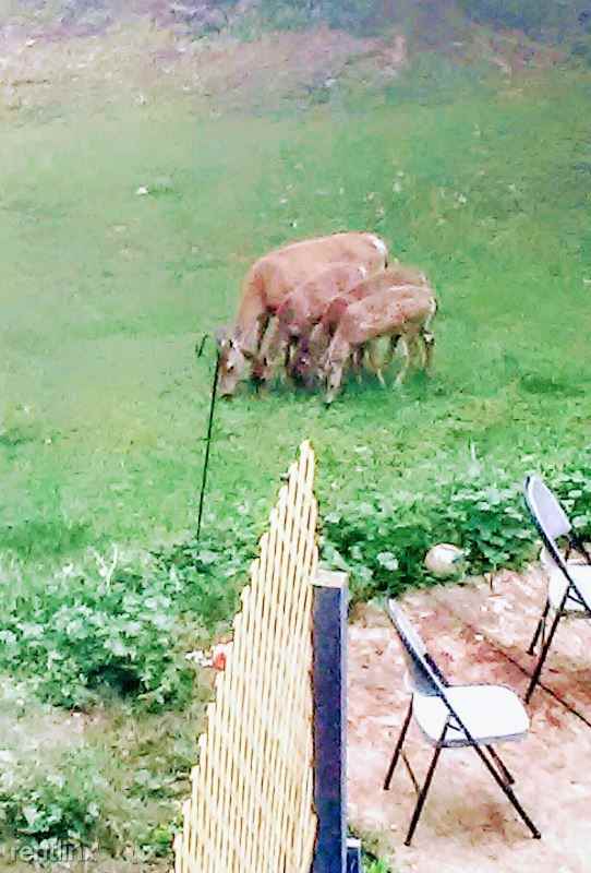 17 Riverside Ave - Photo 2 of 12