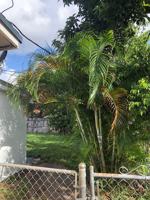 featured image of 1001 Northeast 212th Terrace