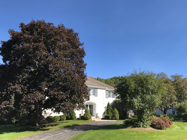 15150 Hidden Glen Court - Photo 3 of 72