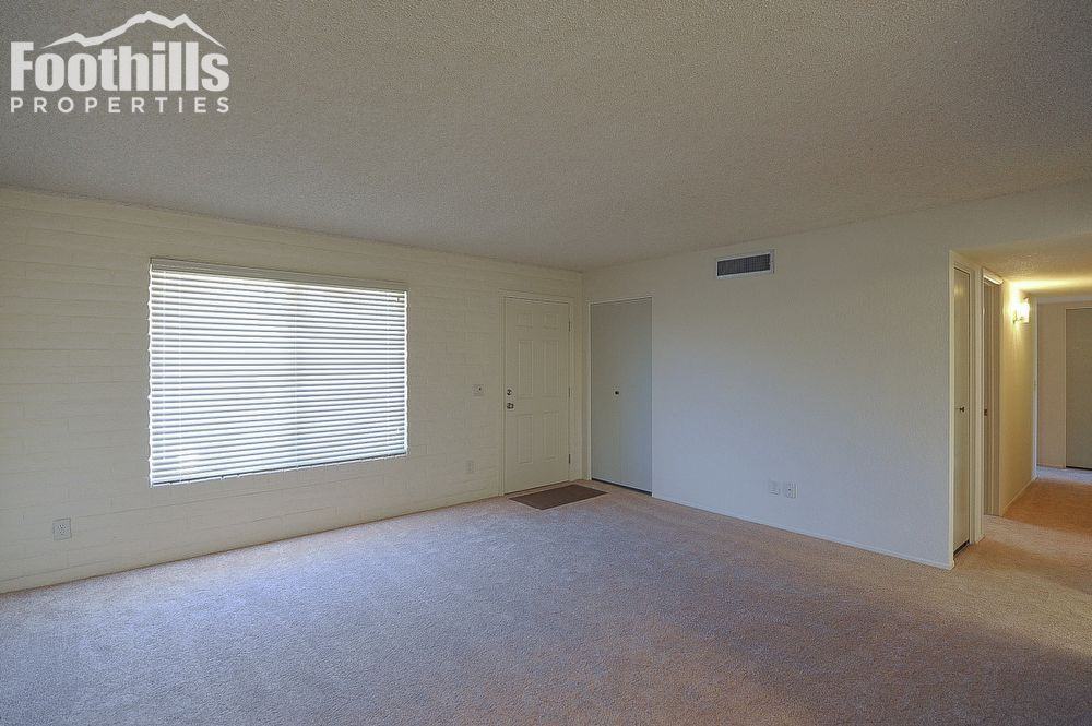 843 W Placita Mesa Fria - Photo 3 of 25