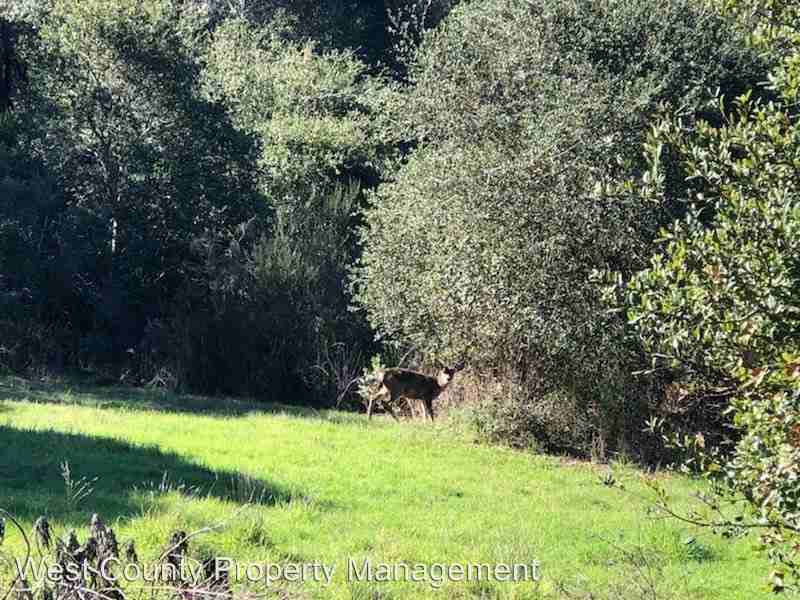 1000 Sexton Rd - Photo 3 of 32