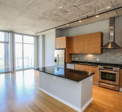 1135 South Delano Court ##W427 Chicago IL 60605 1 Bedroom Apartment 1135 South Delano Court ##W427 Chicago IL 60605 1 Bedroom Apartment