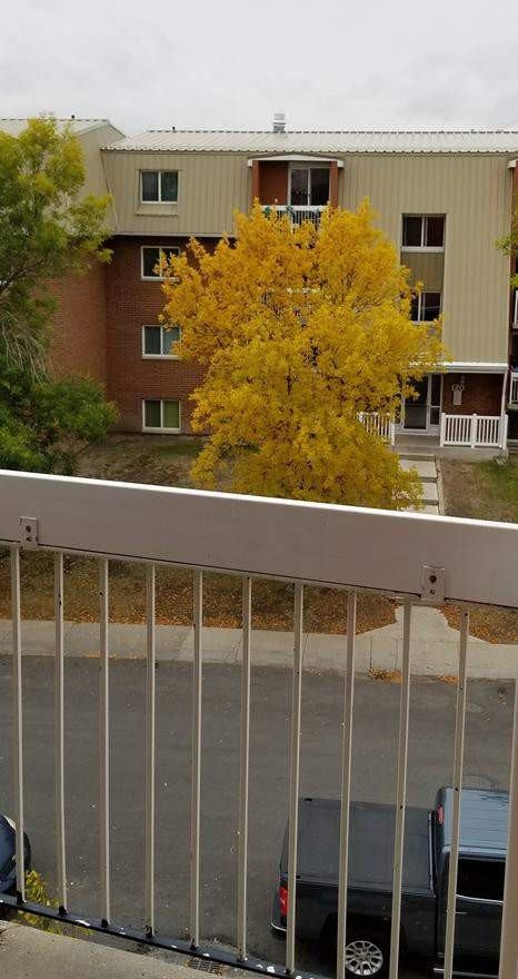 Queenston Heights - Photo 3 of 19